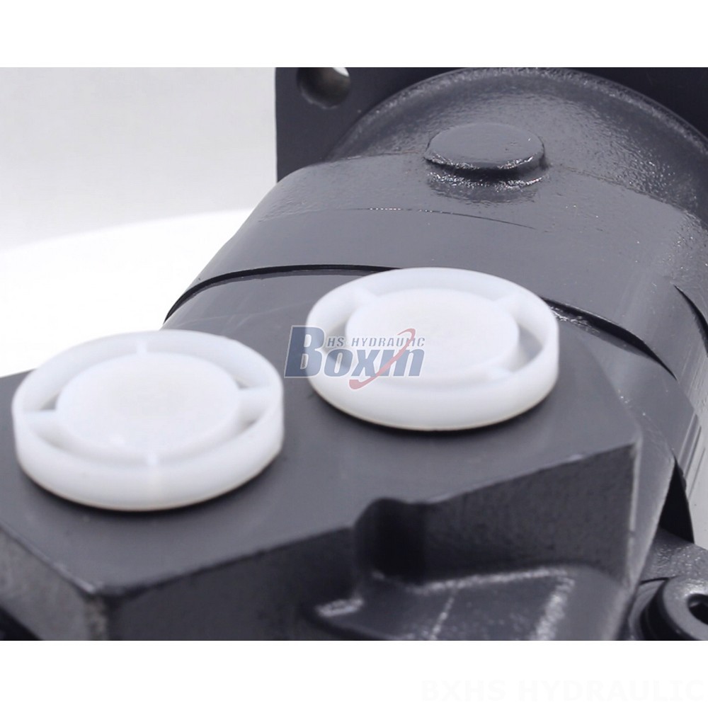 BM6 Cycloid Hydraulic Motor: Partnership Opportunities for Global Distributors detail image